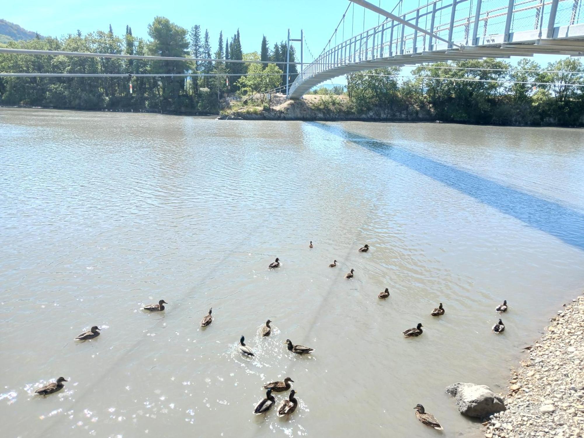 Hotel Du Lac Chateau-Arnoux-Saint-Auban Ngoại thất bức ảnh
