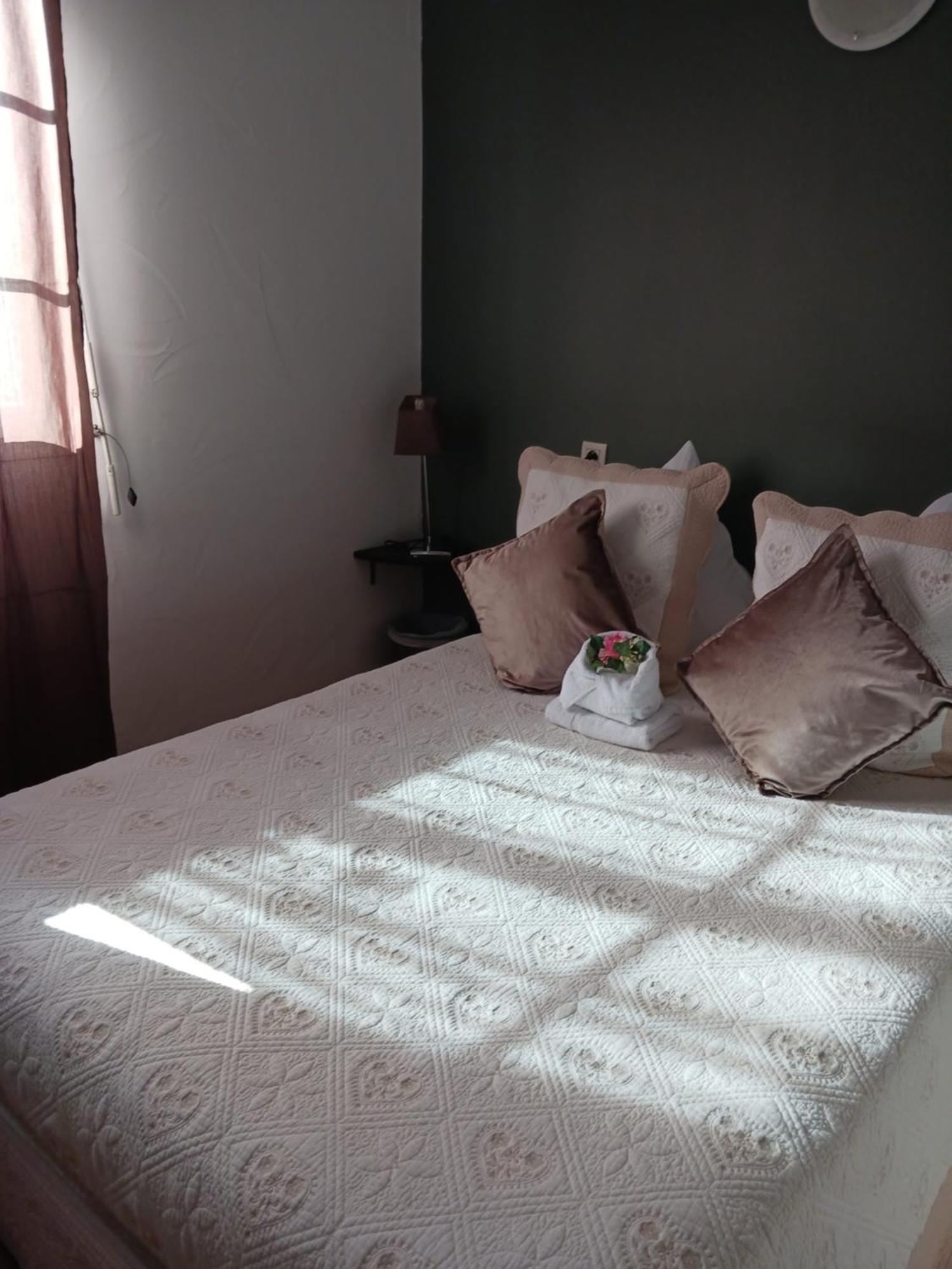 Hotel Du Lac Chateau-Arnoux-Saint-Auban Ngoại thất bức ảnh